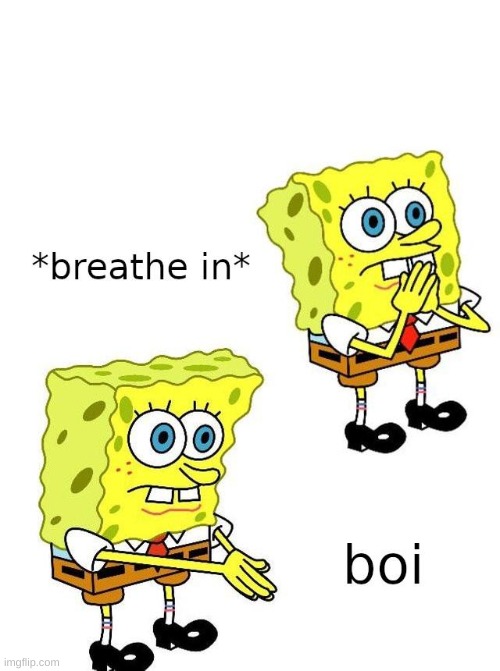 spongebob boi | image tagged in spongebob boi | made w/ Imgflip meme maker