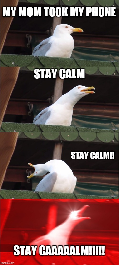 MY MOM TOOK MY PHONE | MY MOM TOOK MY PHONE; STAY CALM; STAY CALM!! STAY CAAAAALM!!!!! | image tagged in memes,inhaling seagull | made w/ Imgflip meme maker