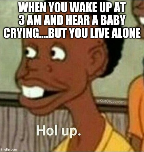 3 am be like | WHEN YOU WAKE UP AT 3 AM AND HEAR A BABY CRYING....BUT YOU LIVE ALONE | image tagged in hol up | made w/ Imgflip meme maker