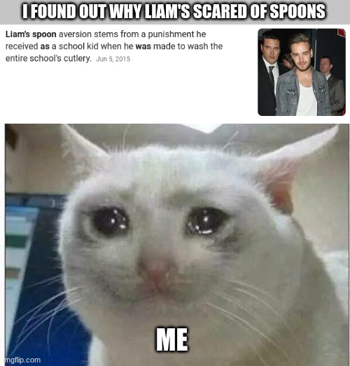 I cried for like 2 hours after I saw this... Who would do that to my boy? |  I FOUND OUT WHY LIAM'S SCARED OF SPOONS; ME | image tagged in crying cat | made w/ Imgflip meme maker