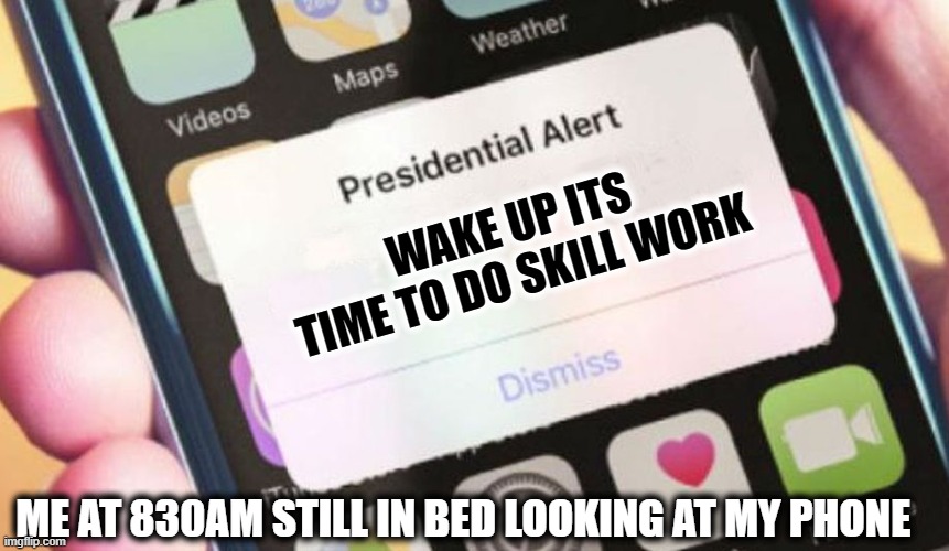 Boystown kids | WAKE UP ITS TIME TO DO SKILL WORK; ME AT 830AM STILL IN BED LOOKING AT MY PHONE | image tagged in memes,presidential alert | made w/ Imgflip meme maker
