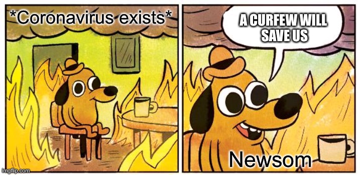 This Is Fine Meme | *Coronavirus exists*; A CURFEW WILL 
SAVE US; Newsom | image tagged in memes,this is fine,california,curfew,newsom | made w/ Imgflip meme maker