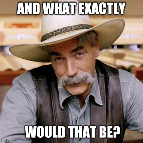 SARCASM COWBOY | AND WHAT EXACTLY WOULD THAT BE? | image tagged in sarcasm cowboy | made w/ Imgflip meme maker