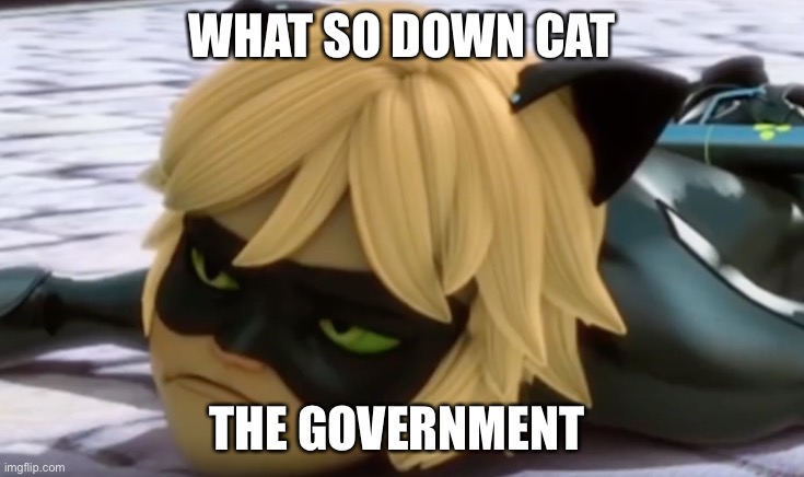 upset cat noir | WHAT SO DOWN CAT THE GOVERNMENT | image tagged in upset cat noir | made w/ Imgflip meme maker