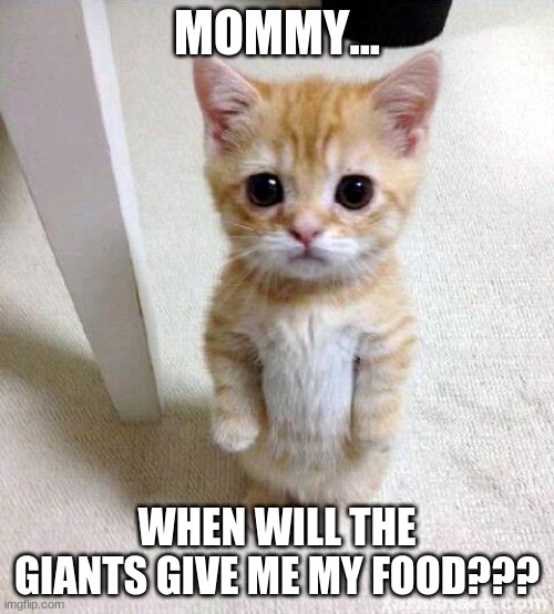 cat wants food | MOMMY... WHEN WILL THE GIANTS GIVE ME MY FOOD??? | image tagged in memes,cute cat | made w/ Imgflip meme maker