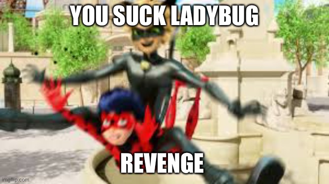 Cat noir jumping on ladybug | YOU SUCK LADYBUG REVENGE | image tagged in cat noir jumping on ladybug | made w/ Imgflip meme maker