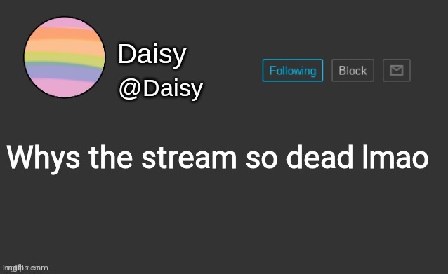 Daisy's template | Whys the stream so dead lmao | image tagged in daisy's template | made w/ Imgflip meme maker