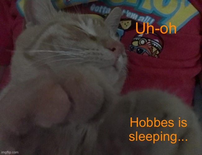 Cute Hobbes. | Uh-oh; Hobbes is sleeping... | image tagged in cats,sleep,calvin and hobbes | made w/ Imgflip meme maker