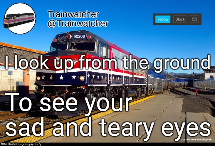 Trainwatcher Announcement 4 | I look up from the ground; To see your sad and teary eyes | image tagged in trainwatcher announcement 4 | made w/ Imgflip meme maker
