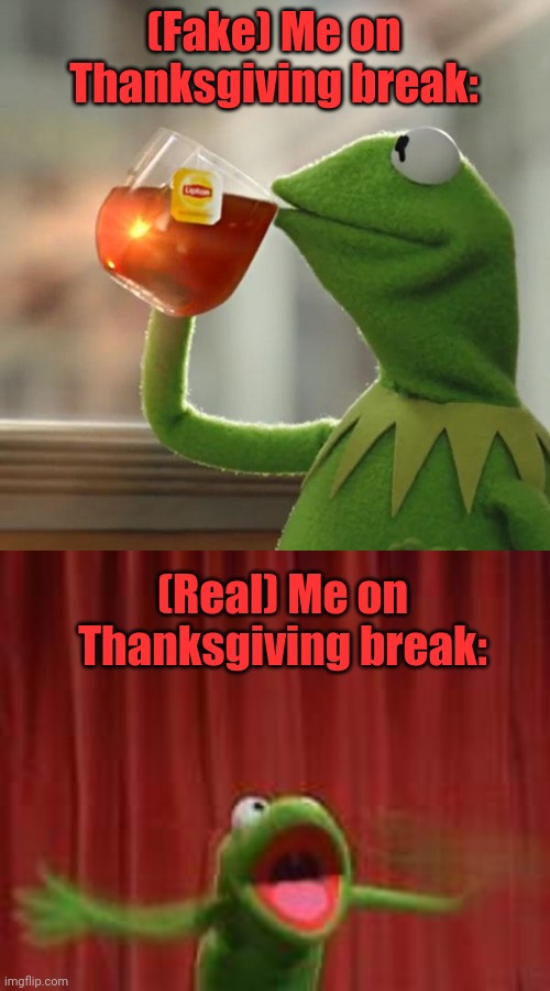 Me on Thanksgiving break (NO SCHOOL!!!) |  (Fake) Me on Thanksgiving break:; (Real) Me on Thanksgiving break: | image tagged in kermit frog tea,crazy kermit,kermit the frog,thanksgiving,happy thanksgiving,no school | made w/ Imgflip meme maker