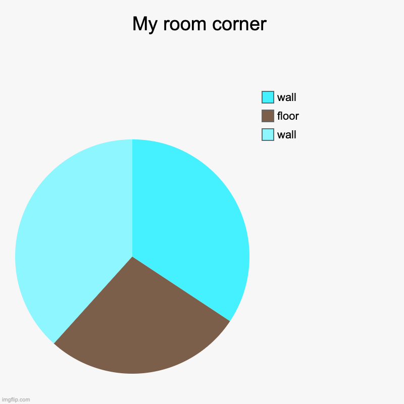 A corner | My room corner | wall, floor, wall | image tagged in charts,pie charts | made w/ Imgflip chart maker