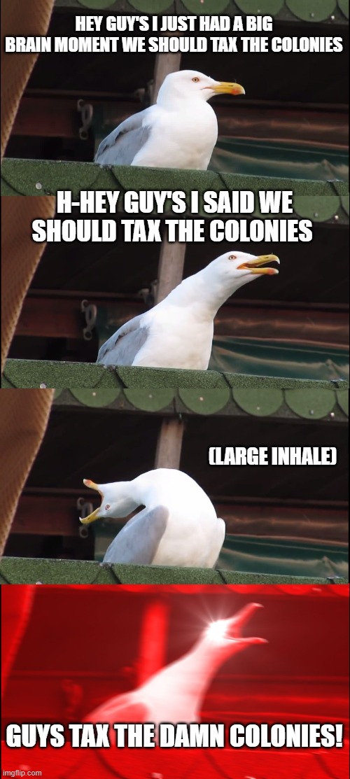 Britain thinking of taxing the colonies | HEY GUY'S I JUST HAD A BIG BRAIN MOMENT WE SHOULD TAX THE COLONIES; H-HEY GUY'S I SAID WE SHOULD TAX THE COLONIES; (LARGE INHALE); GUYS TAX THE DAMN COLONIES! | image tagged in memes,inhaling seagull | made w/ Imgflip meme maker