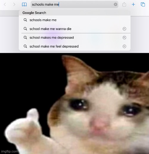 This time I actually searched it by myself | image tagged in sad cat thumbs up | made w/ Imgflip meme maker