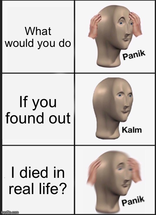 (mod: scream) | What would you do; If you found out; I died in real life? | image tagged in memes,panik kalm panik | made w/ Imgflip meme maker