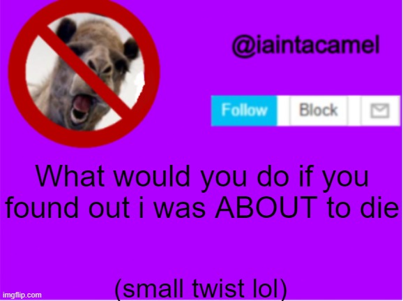 What would you do if you found out i was ABOUT to die; (small twist lol) | image tagged in iaintacamel | made w/ Imgflip meme maker