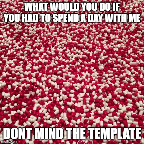 lol | WHAT WOULD YOU DO IF YOU HAD TO SPEND A DAY WITH ME; DONT MIND THE TEMPLATE | image tagged in pills | made w/ Imgflip meme maker