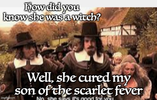 How did you know she was a witch? Well, she cured my son of the scarlet fever | made w/ Imgflip meme maker