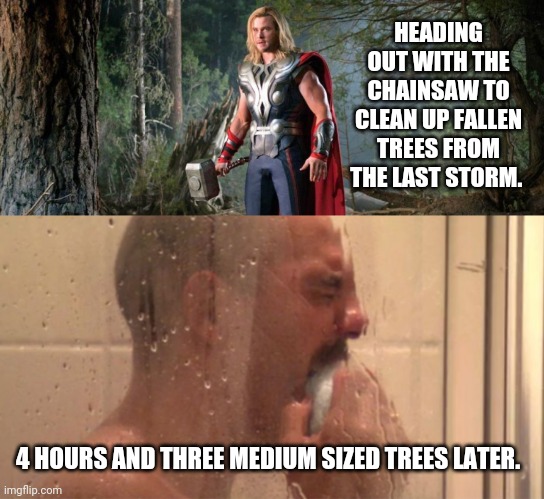 Desk Jockey Grabs The Chainsaw | HEADING OUT WITH THE CHAINSAW TO CLEAN UP FALLEN TREES FROM THE LAST STORM. 4 HOURS AND THREE MEDIUM SIZED TREES LATER. | image tagged in thor,respect for laborers,arborist,trees,cry,woods | made w/ Imgflip meme maker