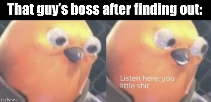 Listen here you little shit bird | That guy’s boss after finding out: | image tagged in listen here you little shit bird | made w/ Imgflip meme maker