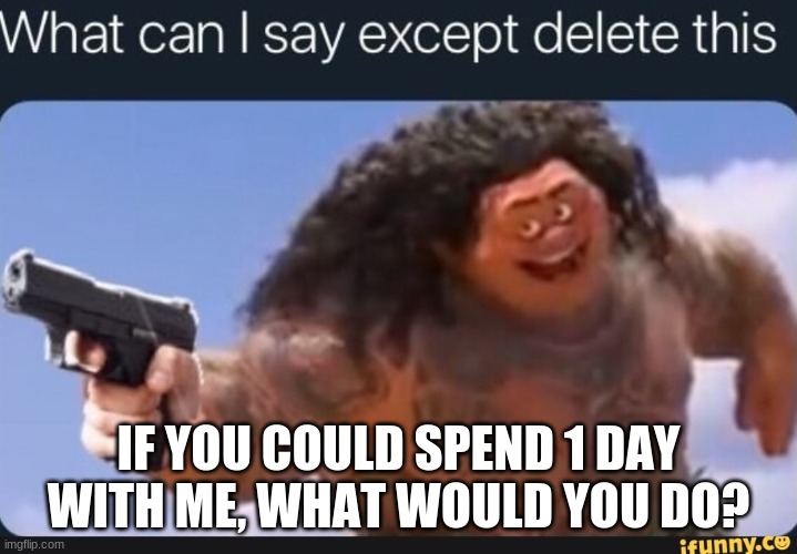 AAAAAAAAAAAAAAAAAAAAAA | IF YOU COULD SPEND 1 DAY WITH ME, WHAT WOULD YOU DO? | image tagged in what can i say except delete this | made w/ Imgflip meme maker