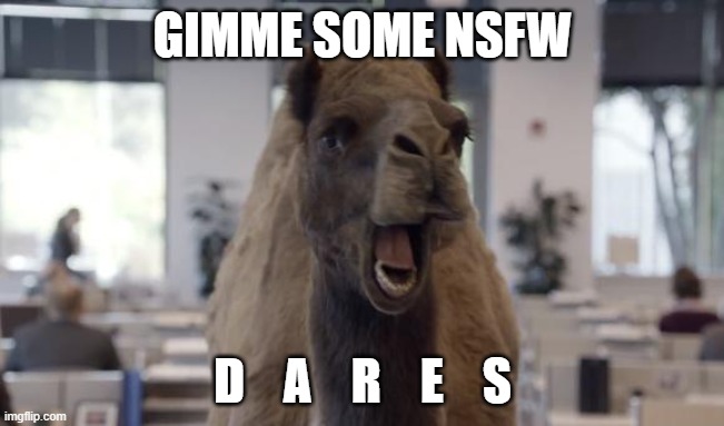 REEEEEEE DEW IT | GIMME SOME NSFW; D    A    R    E    S | image tagged in camel | made w/ Imgflip meme maker