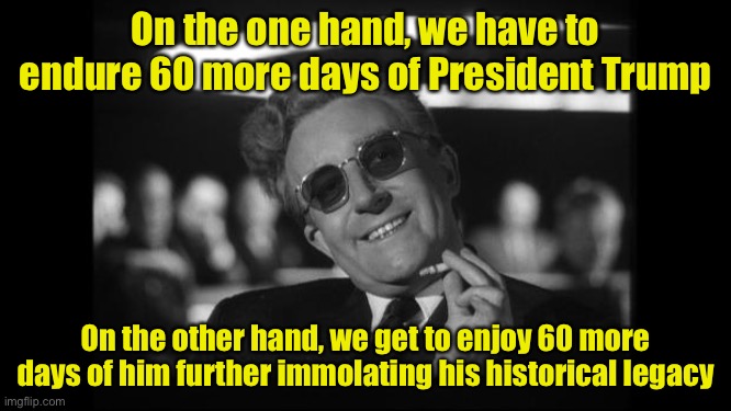 Stay safe, mask up, sit back, and enjoy the show. | On the one hand, we have to endure 60 more days of President Trump; On the other hand, we get to enjoy 60 more days of him further immolating his historical legacy | image tagged in dr strangelove,election 2020,2020 elections,trump is a moron,donald trump is an idiot,trump is an asshole | made w/ Imgflip meme maker