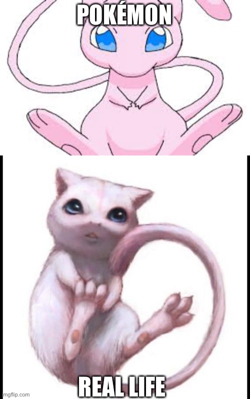 POKÉMON; REAL LIFE | image tagged in pokemon mew | made w/ Imgflip meme maker