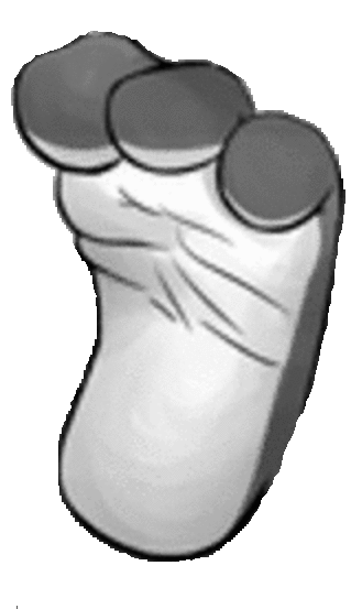 Cute Bunny Foot Blank Meme Template