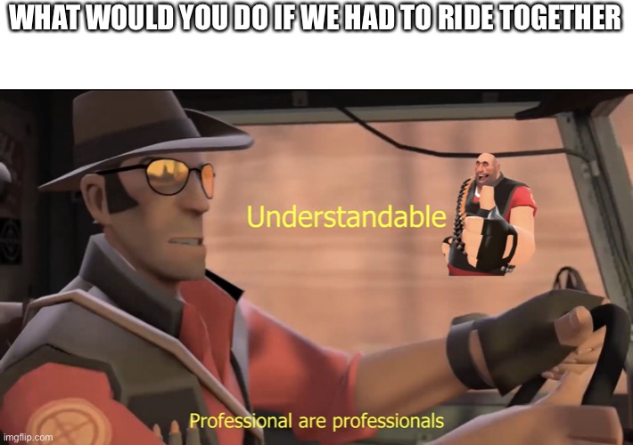 Professional are professionals | WHAT WOULD YOU DO IF WE HAD TO RIDE TOGETHER | image tagged in professional are professionals | made w/ Imgflip meme maker