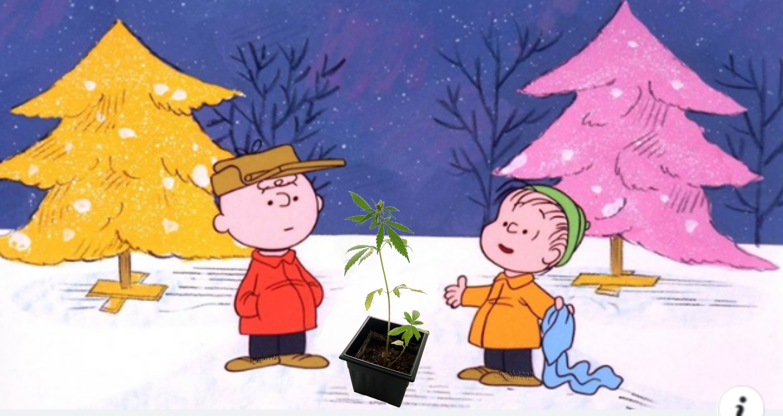 marijuana christmas Blank Meme Template