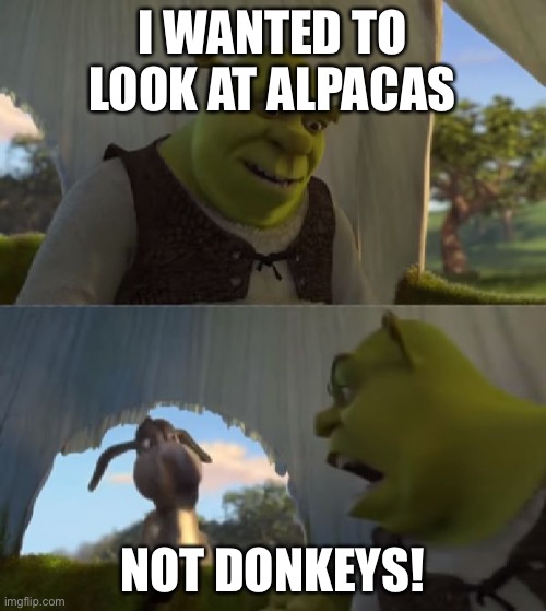 Could you not ___ for 5 MINUTES | I WANTED TO LOOK AT ALPACAS NOT DONKEYS! | image tagged in could you not ___ for 5 minutes | made w/ Imgflip meme maker