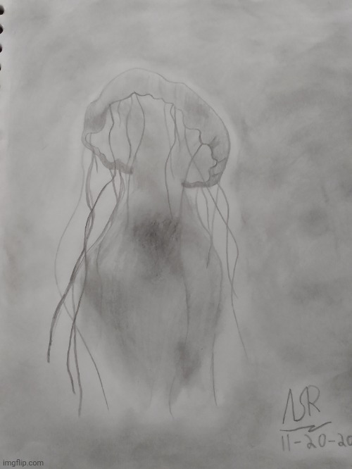 Made this jellyfish yesterday | made w/ Imgflip meme maker