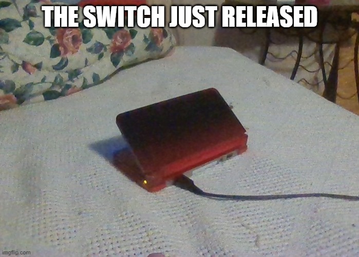 Neglected 3DS | THE SWITCH JUST RELEASED | image tagged in neglected 3ds | made w/ Imgflip meme maker