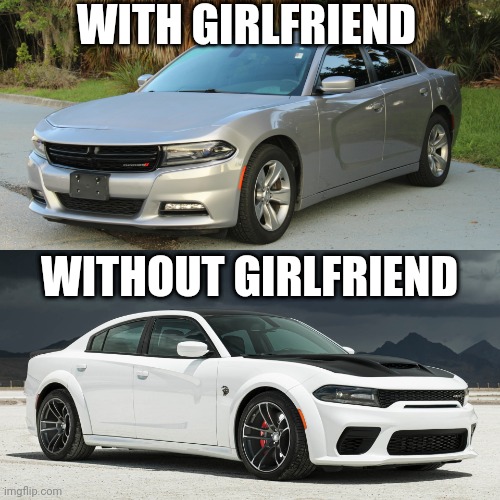 With Girlfriend vs Without Girlfriend |  WITH GIRLFRIEND; WITHOUT GIRLFRIEND | image tagged in basic v hyper | made w/ Imgflip meme maker