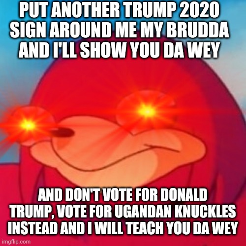 PUT ANOTHER TRUMP 2020 SIGN AROUND ME MY BRUDDA AND I'LL SHOW YOU DA WEY; AND DON'T VOTE FOR DONALD TRUMP, VOTE FOR UGANDAN KNUCKLES INSTEAD AND I WILL TEACH YOU DA WEY | image tagged in ugandan knuckles,politics,do you know da wae,vote,donald trump,memes | made w/ Imgflip meme maker