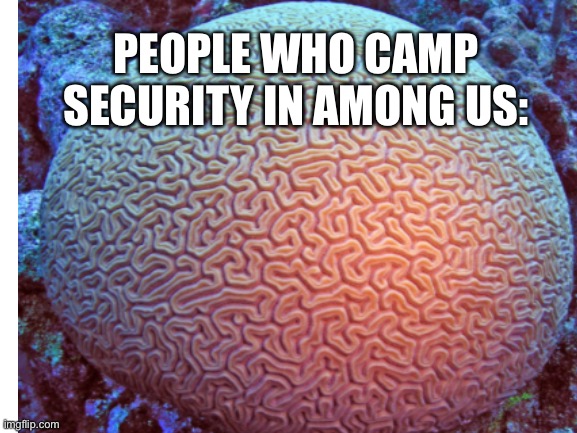 PEOPLE WHO CAMP SECURITY IN AMONG US: | made w/ Imgflip meme maker