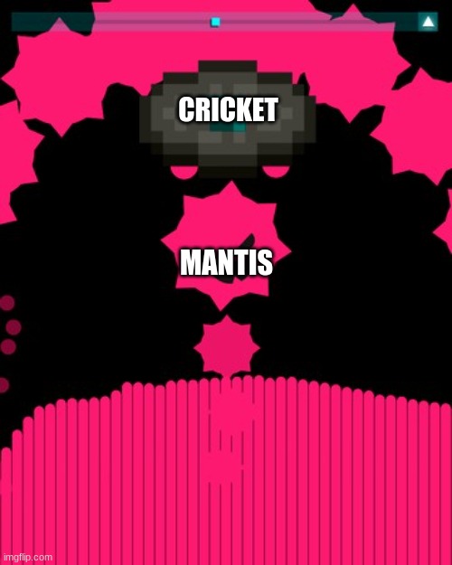 lycan has | CRICKET; MANTIS | image tagged in lycan has | made w/ Imgflip meme maker