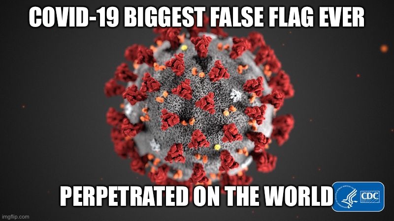 Covid 19 | COVID-19 BIGGEST FALSE FLAG EVER; PERPETRATED ON THE WORLD | image tagged in covid 19 | made w/ Imgflip meme maker