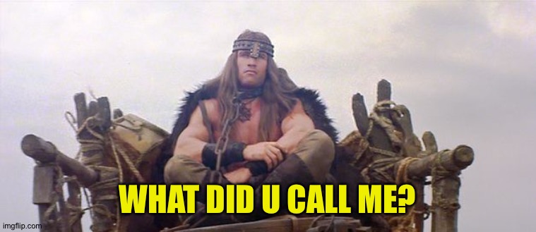 Conan the barbarian waits | WHAT DID U CALL ME? | image tagged in conan the barbarian waits | made w/ Imgflip meme maker