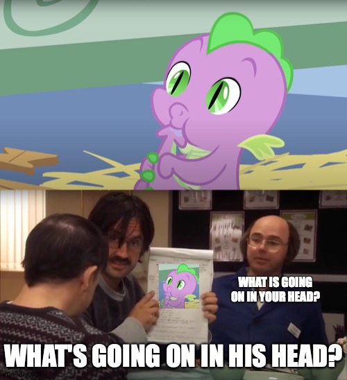 Scrawlings of a Madmare | WHAT IS GOING ON IN YOUR HEAD? WHAT'S GOING ON IN HIS HEAD? | image tagged in memes,my little pony,spike,ricky gervais,and,company | made w/ Imgflip meme maker