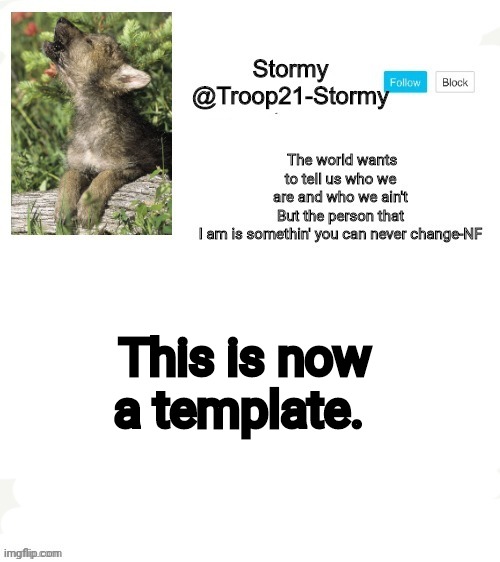 Stormys template | This is now a template. | image tagged in stormys template | made w/ Imgflip meme maker