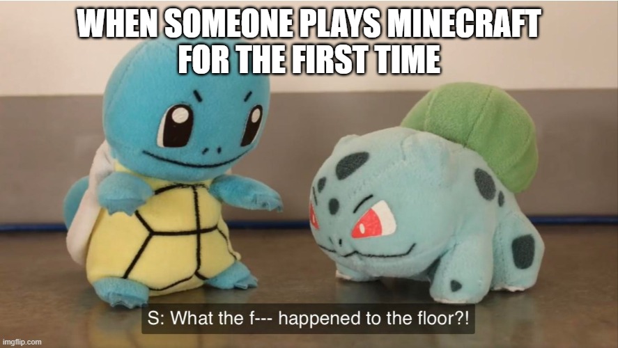 so true |  WHEN SOMEONE PLAYS MINECRAFT
FOR THE FIRST TIME | image tagged in what the f k happened to the floor | made w/ Imgflip meme maker