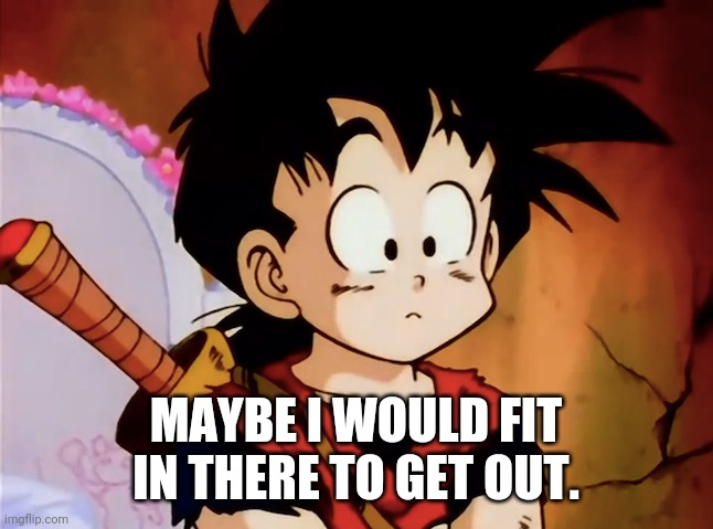Unsured Gohan (DBZ) | MAYBE I WOULD FIT IN THERE TO GET OUT. | image tagged in unsured gohan dbz | made w/ Imgflip meme maker