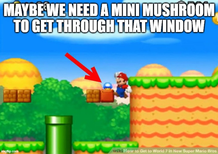 MAYBE WE NEED A MINI MUSHROOM TO GET THROUGH THAT WINDOW | made w/ Imgflip meme maker