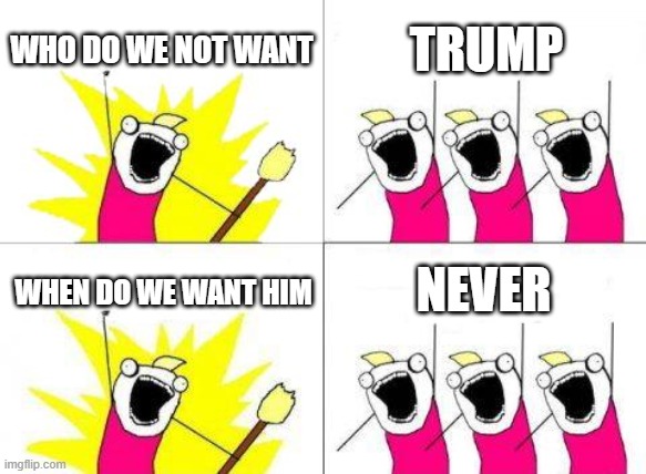 Be like this | WHO DO WE NOT WANT; TRUMP; NEVER; WHEN DO WE WANT HIM | image tagged in memes,what do we want | made w/ Imgflip meme maker