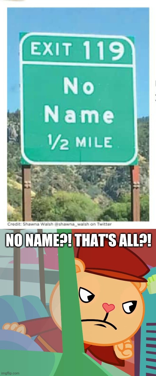 No name. LOL | NO NAME?! THAT'S ALL?! | image tagged in pop htf,funny,memes,you had one job | made w/ Imgflip meme maker