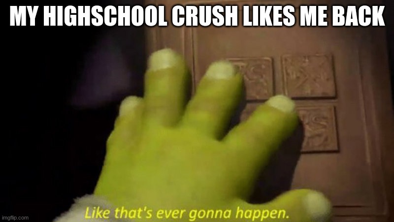 Like that's ever gonna happen | MY HIGHSCHOOL CRUSH LIKES ME BACK | image tagged in like that's ever gonna happen | made w/ Imgflip meme maker