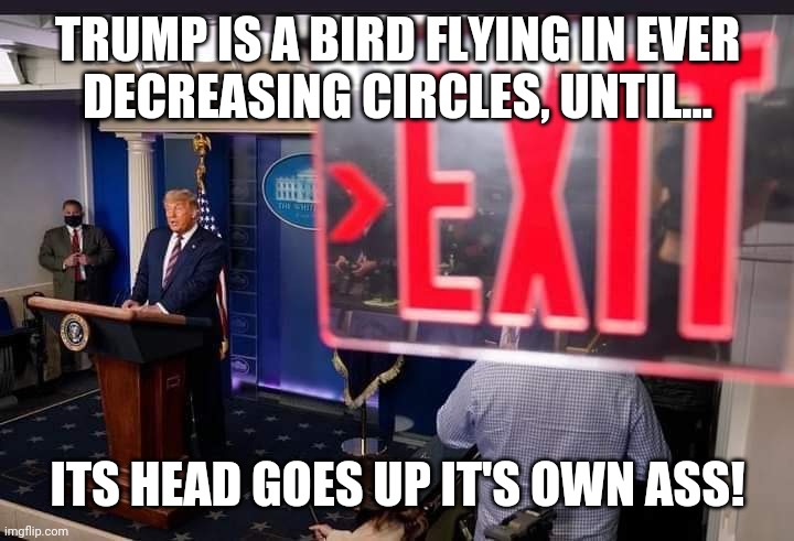 Turkey days coming | TRUMP IS A BIRD FLYING IN EVER
DECREASING CIRCLES, UNTIL... ITS HEAD GOES UP IT'S OWN ASS! | image tagged in happy thanksgiving | made w/ Imgflip meme maker