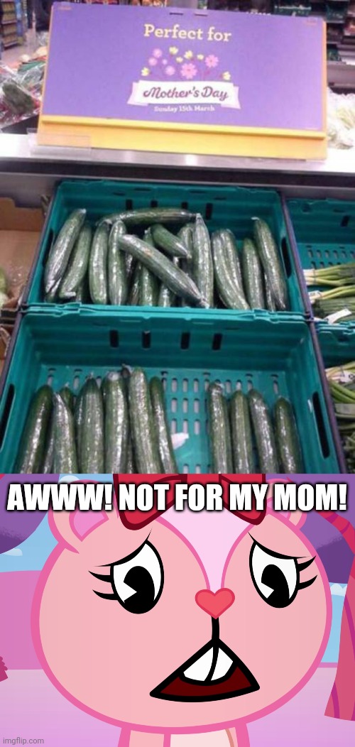 Aw, come on! That's not a gift for mother's day! | AWWW! NOT FOR MY MOM! | image tagged in sad giggles htf,you had one job,mothers day,funny,but why why would you do that | made w/ Imgflip meme maker