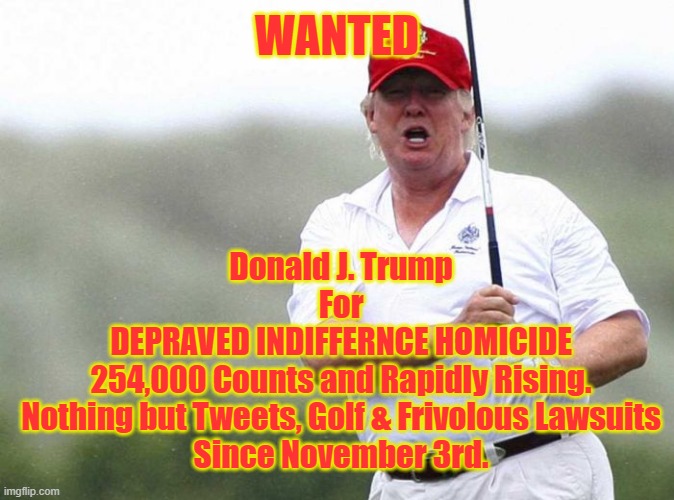 Depraved Indifference Homicide | WANTED; Donald J. Trump
For
DEPRAVED INDIFFERNCE HOMICIDE
254,000 Counts and Rapidly Rising.
Nothing but Tweets, Golf & Frivolous Lawsuits
Since November 3rd. | image tagged in trump golfing | made w/ Imgflip meme maker